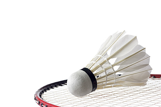 篮球发展提 篮球发展提